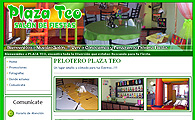 Salon de Fiestas Plaza Teo